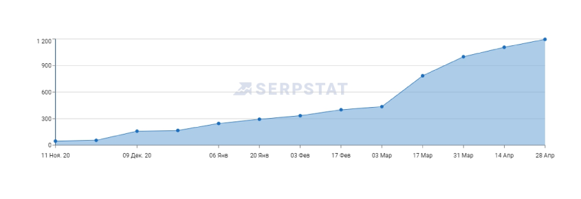 Итоги и дальнейшие планы по SEO