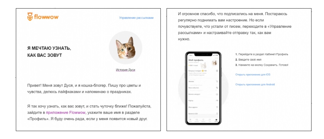Квітковий магазин веде розсилку від імені кішки Дусі