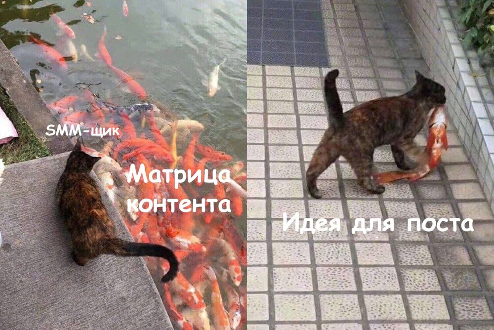 Для чего нужна матрица контента