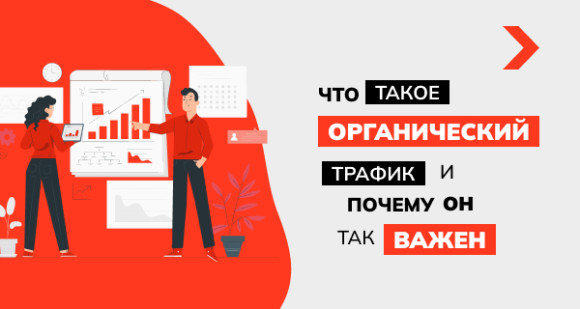Что такое органический трафик и почему он так важен