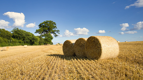 AGRO-E.COM.UA