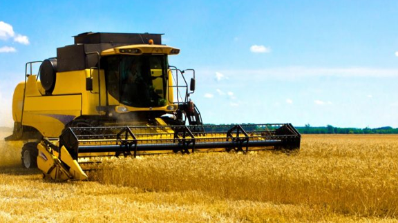 Agricultural company