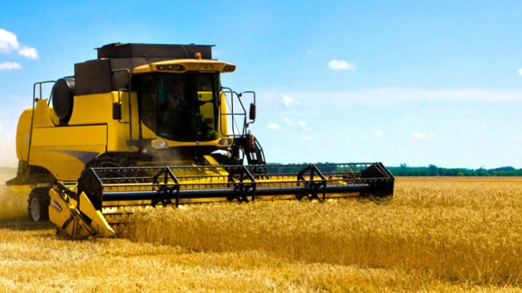 Agricultural company