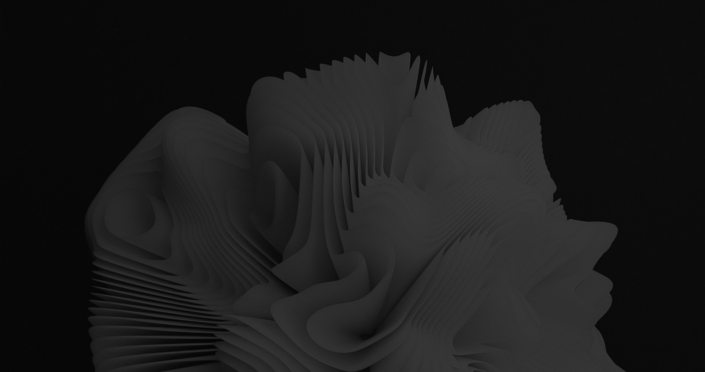 section image